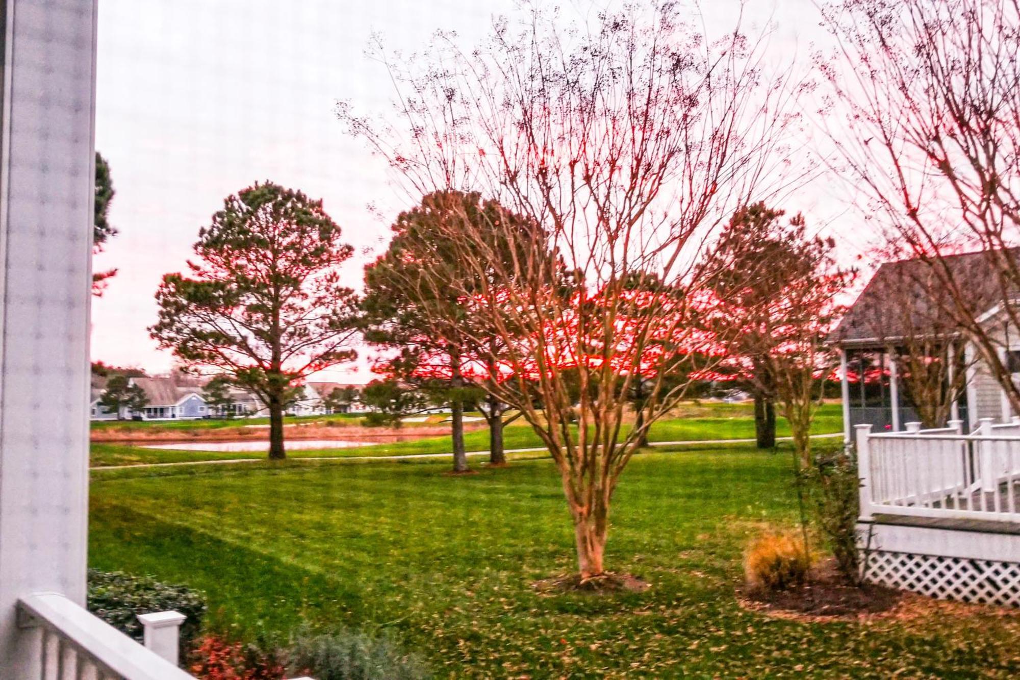 Bear Trap Dunes - Willow Oak Ocean View الغرفة الصورة